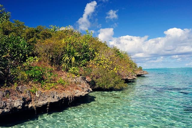 Ile aux Aigrettes - Tea Route - Gris Gris Private Guided Tour (Min. 2 persons)