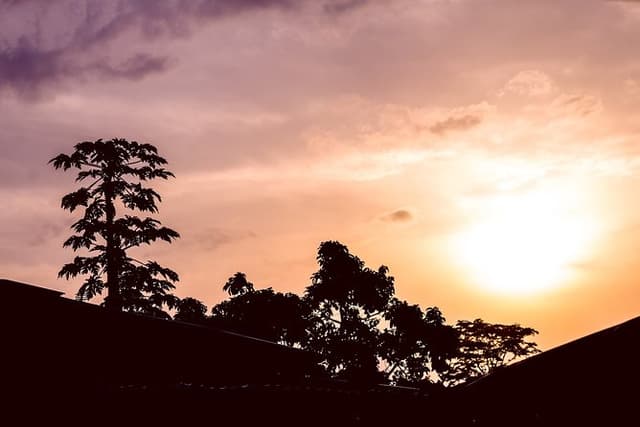 Azobe East Adventure Safari 13D/12N