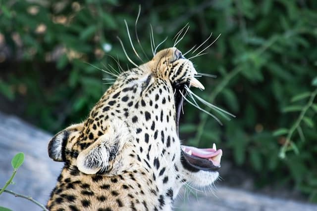 Maputo Special Reserve 3 Days/ 2 Nights