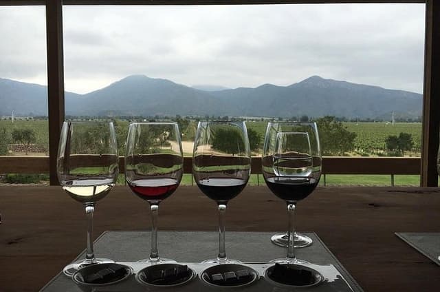 Private Wine Tour in Valparaiso