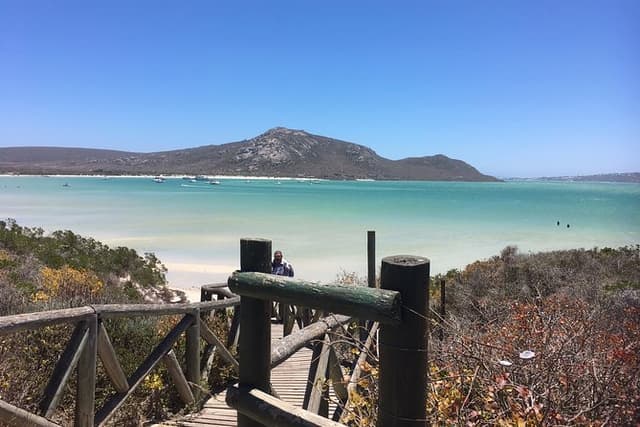 Private day tour along the west coast around Cape Town