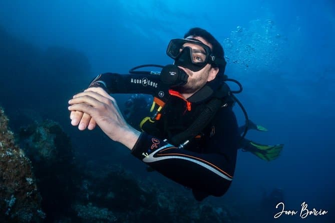 Best Scuba Tours at Montgrí Marine Reserve