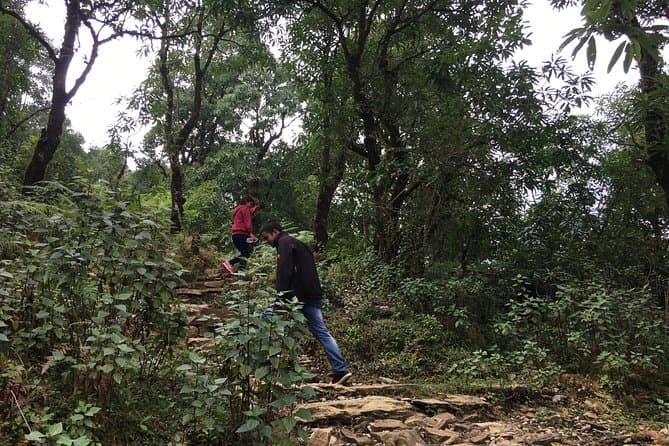 Dhampus Trek