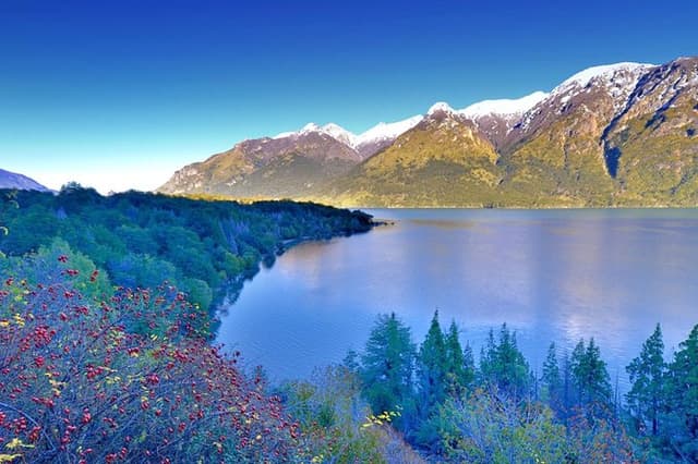 Los Alerces National Park, Esquel - Half day