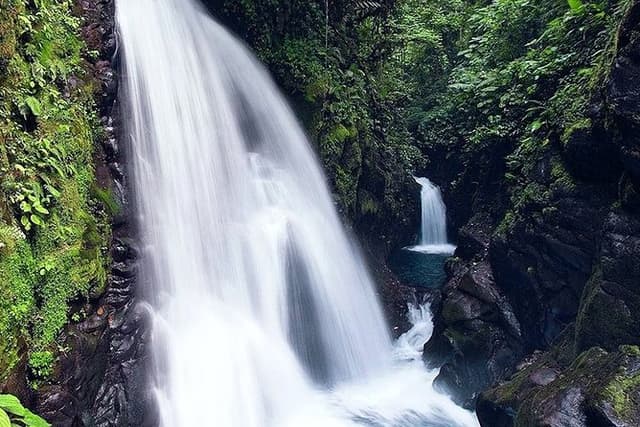 La Paz Waterfall Gardens and Wildlife Refuge Tour from San Jose