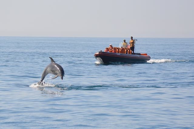 Cheapest Family Friendly Boat Trip From Vilamoura Algarve