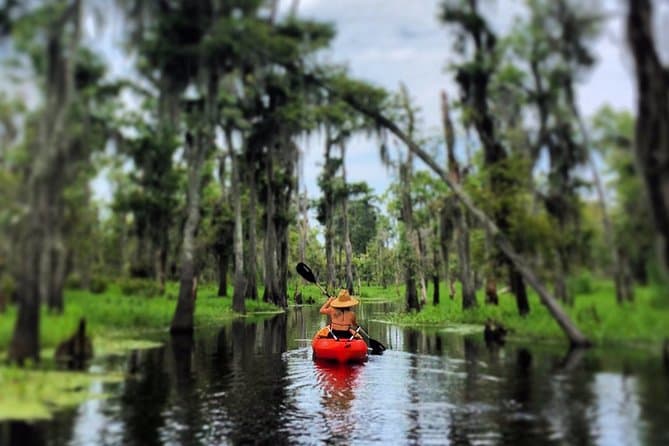 Unforgettable Manchac Swamp Kayak Adventures in New Orleans