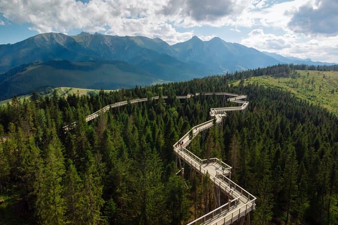 Slovakia Treetop Walk: Unmissable Krakow Nature Experience
