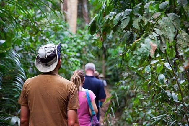 Ngezi Forest Tour