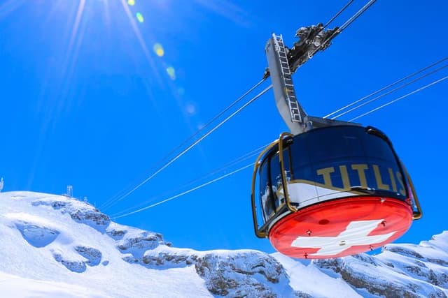 Fun Day in the Snow All Year Long! (Private Tour)