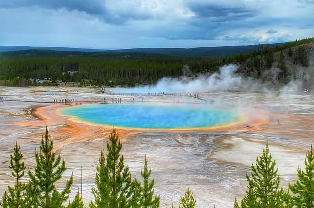 Exclusive Private Yellowstone Adventure: Explore The Lower Loop