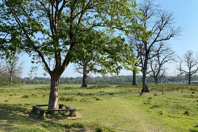 Best Chitwan National Park Safari Tours & Wildlife Trips
