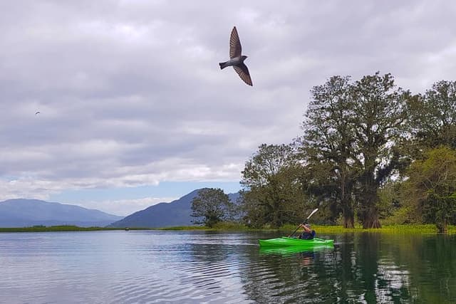 Yojoa Lake Day Trip from Tegucigalpa