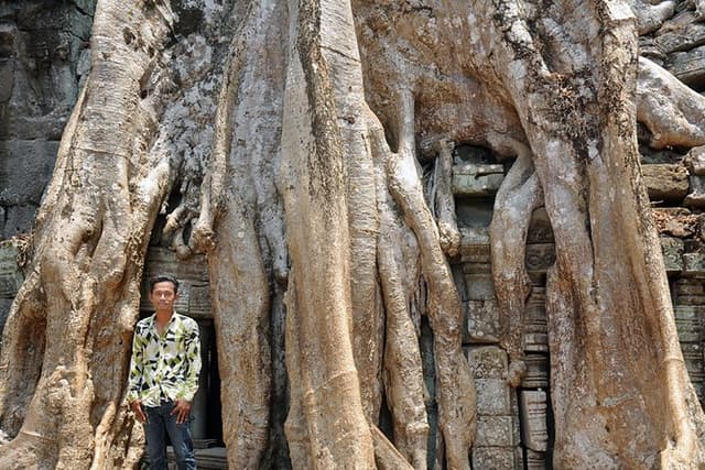 Private Vehicle to Angkor Wat and Small circle with Two Extras