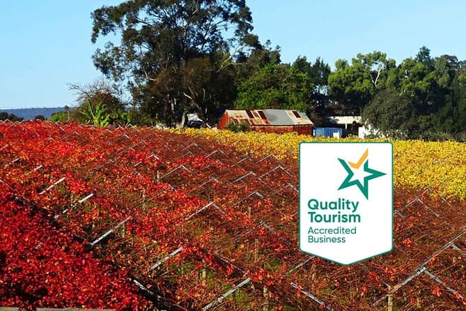 Swan Valley Wine Tour