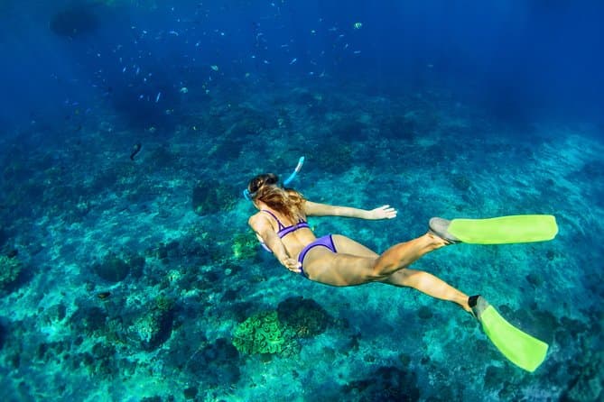 Bali Snorkeling Tour in Ubud