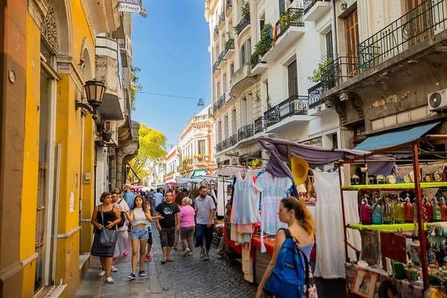 Half Day Walking Private Tour Discovering Plaza de Mayo and San Telmo