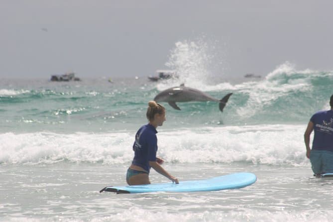 Best Gold Coast Surf Lessons & Surfing Experiences