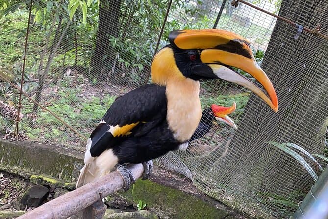Explore Lush Tropical Wonders: KL Nature & Garden Tours