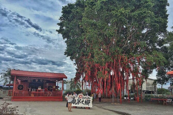 Best Sekinchan Paddy Field & Fishing Village Day Tours