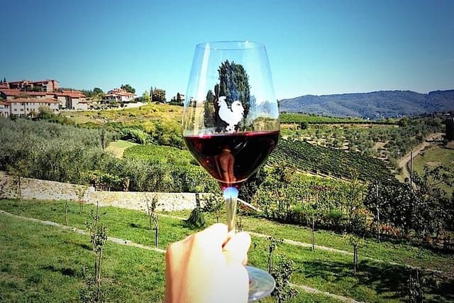 Livorno Shore Excursion: Chianti and Tuscany Countryside Private Wine Tour