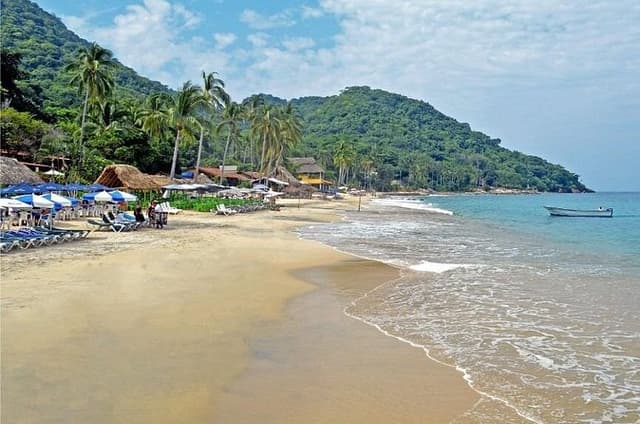 Private Snorkeling Experience and Boat tour to Las Animas Beach