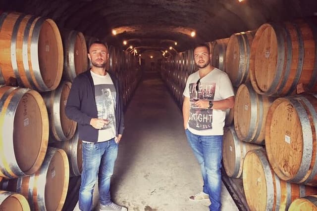 Waiheke Island Premium Wine Tour with Tastings