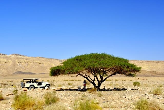Desert Safari and Dead Sea Day Trip from Tel Aviv