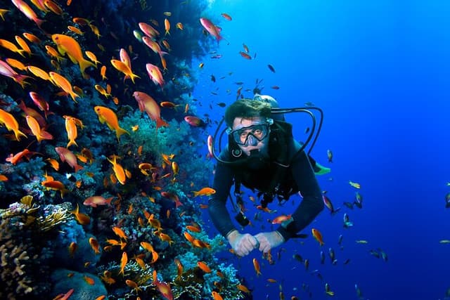 Diving Experience In Buzios