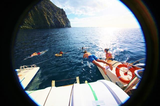 Whale watching and listening Eco-Catamaran Tour with Food Tasting