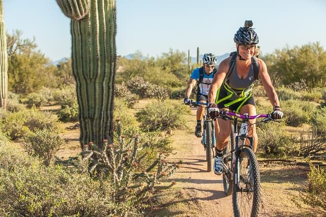 Sonoran Desert Guided Mountain Bike Tour