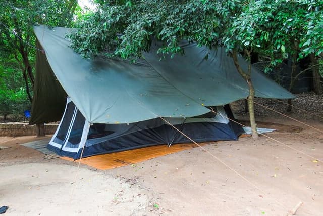 Two Night Camping in Wasgamuwa National Park