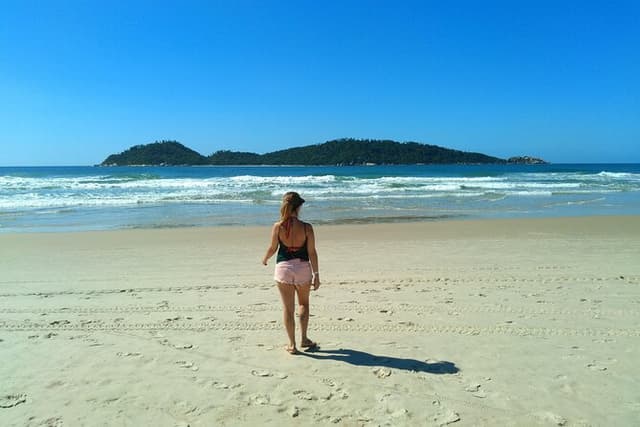Private Tour: The 7 Most Preserved Beaches on the South Island by Floripa Nativa