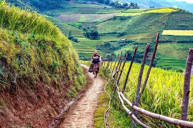 Hoang Lien National Park Trek