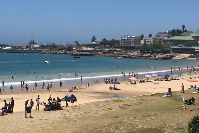 Mosselbay Day tour