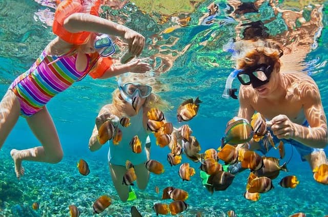 Blue Lagoon Snorkeling - Cave Waterfall - And More - All Included + FREE Wi-Fi