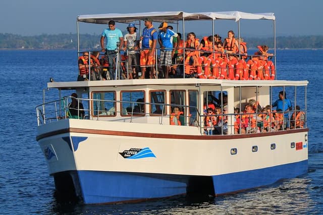 Whale Watching from Talpe on Shared Boat