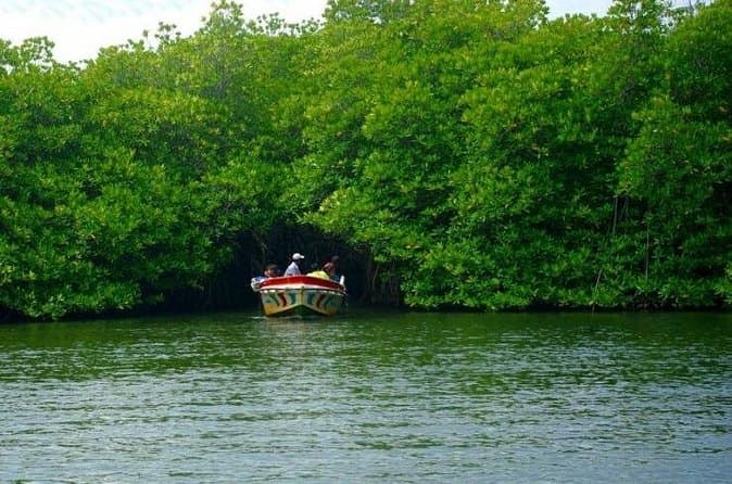 Best Bentota City Tours in Galle