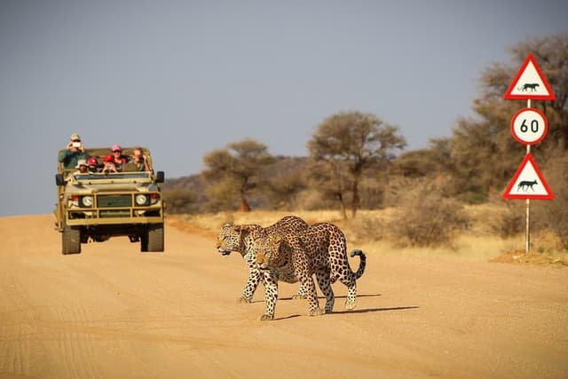 9 Day Etosha, Skeleton Coast & Sossusvlei Camping & Lodge Safari