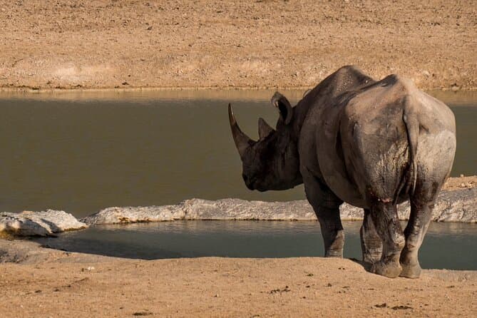 Epic Namibia Canyon & Dune Adventures from Windhoek