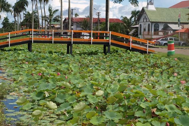 2-Day Tour Nickerie with a Boat Trip in Bigipan