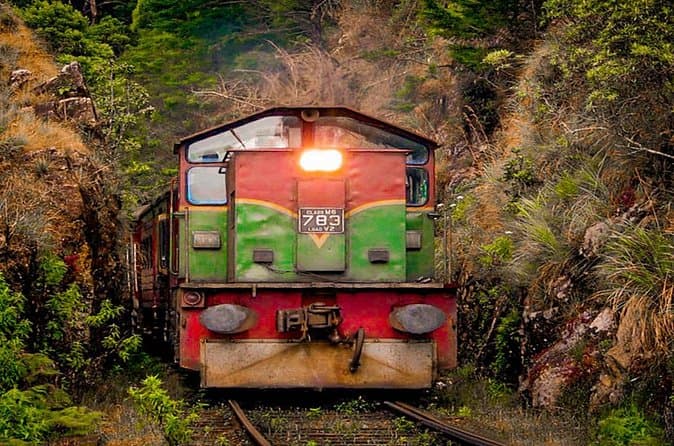 Best Denuwara Menike Train Experiences