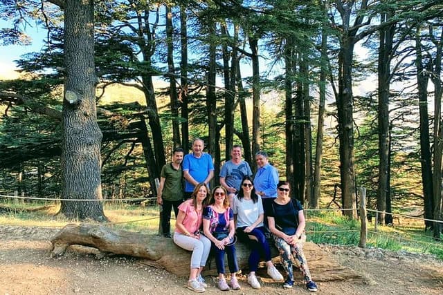 Private Qadisha Valley, Gibran Museum & Cedars Tour | Beirut