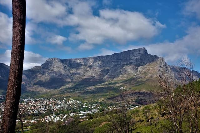 Private Tour : The Great Gatsby Food Tour Cape Town