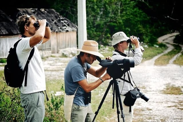 Birdwatching in Sian Ka´an Muyil from Tulum - Shared Group Tour