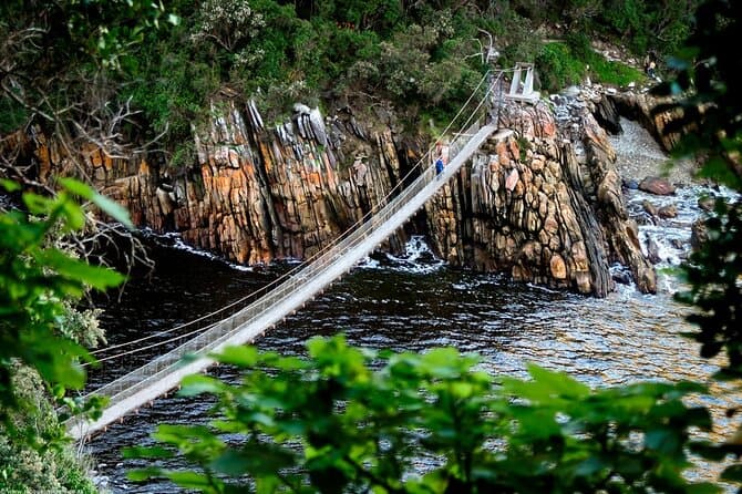 Durban to Garden Route Highlights: Book Your Trip