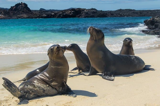 Best of Ecuador & Galapagos