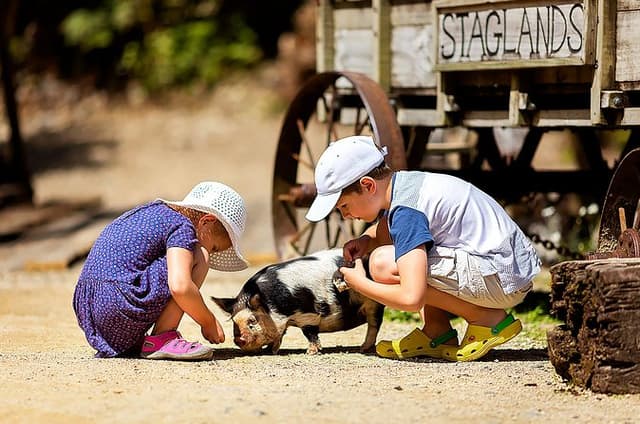 Staglands Wildlife Reserve Entry Ticket