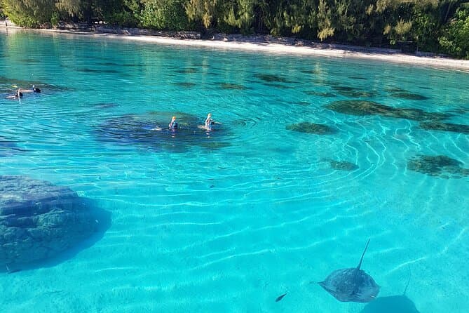 Best Moorea Lagoon Tour Experiences in Moorea