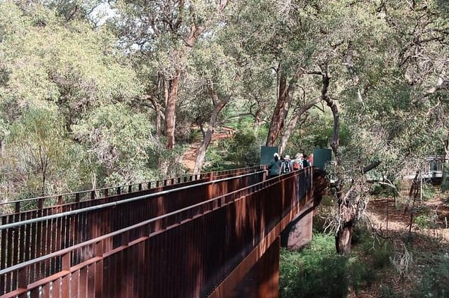 Kings Park Botanicals And Beyond